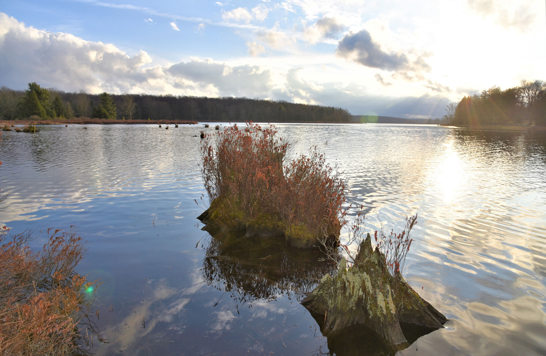 Black Moshannon Lake, PA